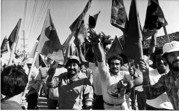 (3643) Demonstration, flags (3643) Demonstration, flags